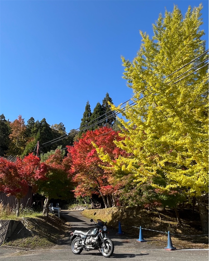 f:id:RYOTAS:20251109133241j:image