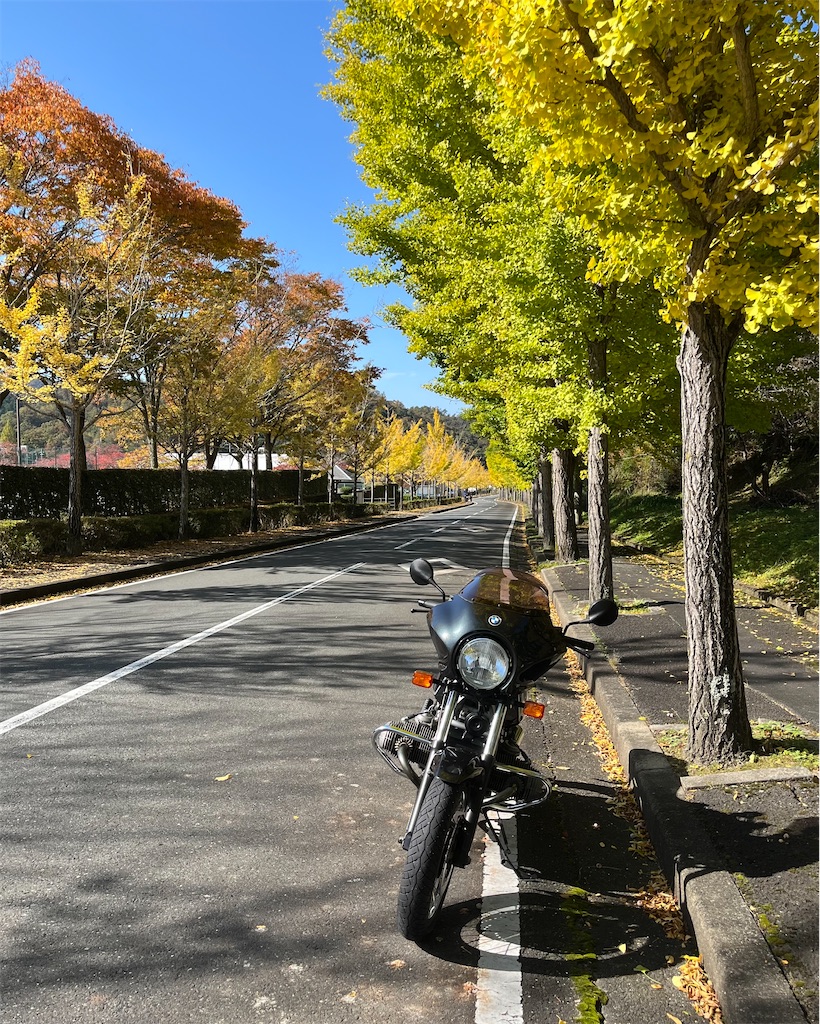 f:id:RYOTAS:20251109133244j:image