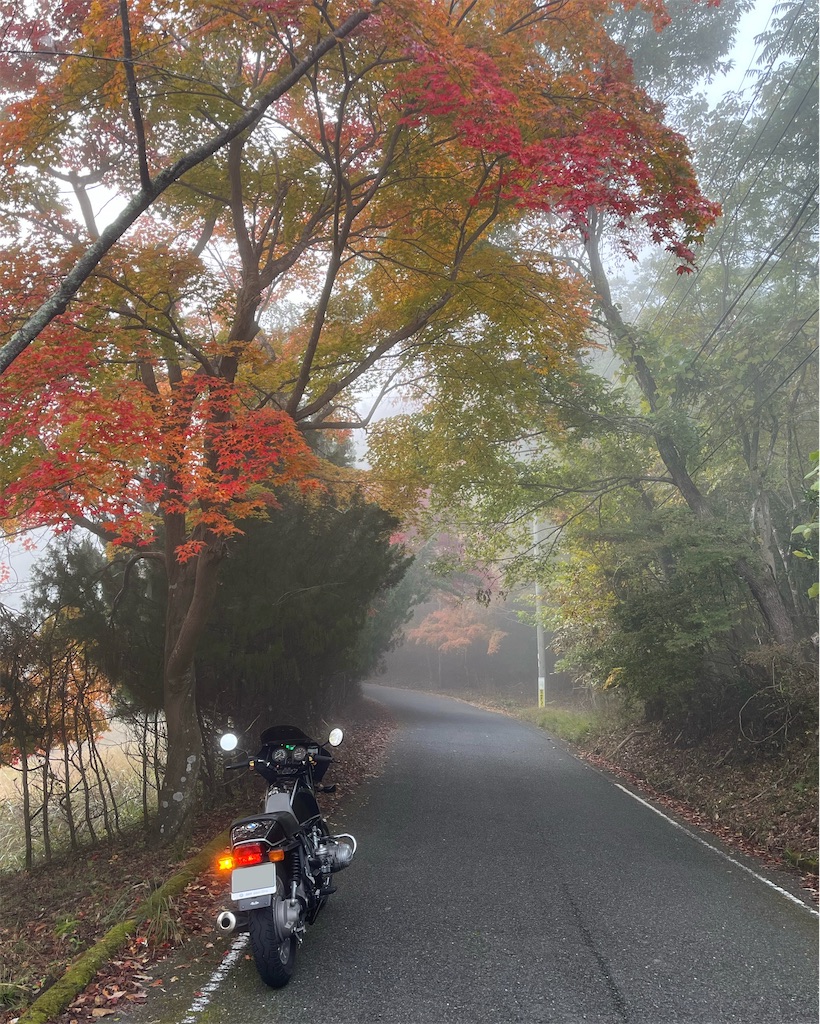 f:id:RYOTAS:20251115151757j:image