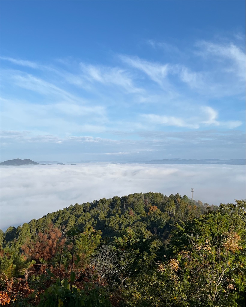f:id:RYOTAS:20251115151803j:image