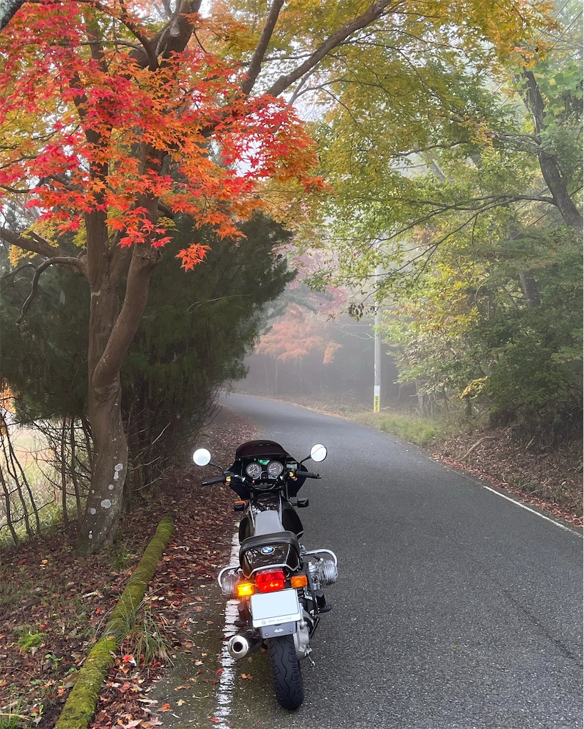 f:id:RYOTAS:20251115151811j:image