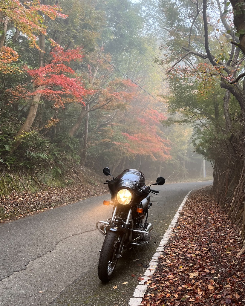 f:id:RYOTAS:20251115151817j:image