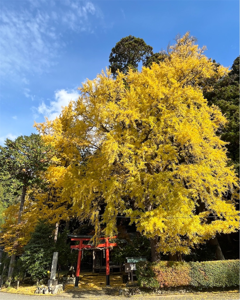 f:id:RYOTAS:20251128081235j:image