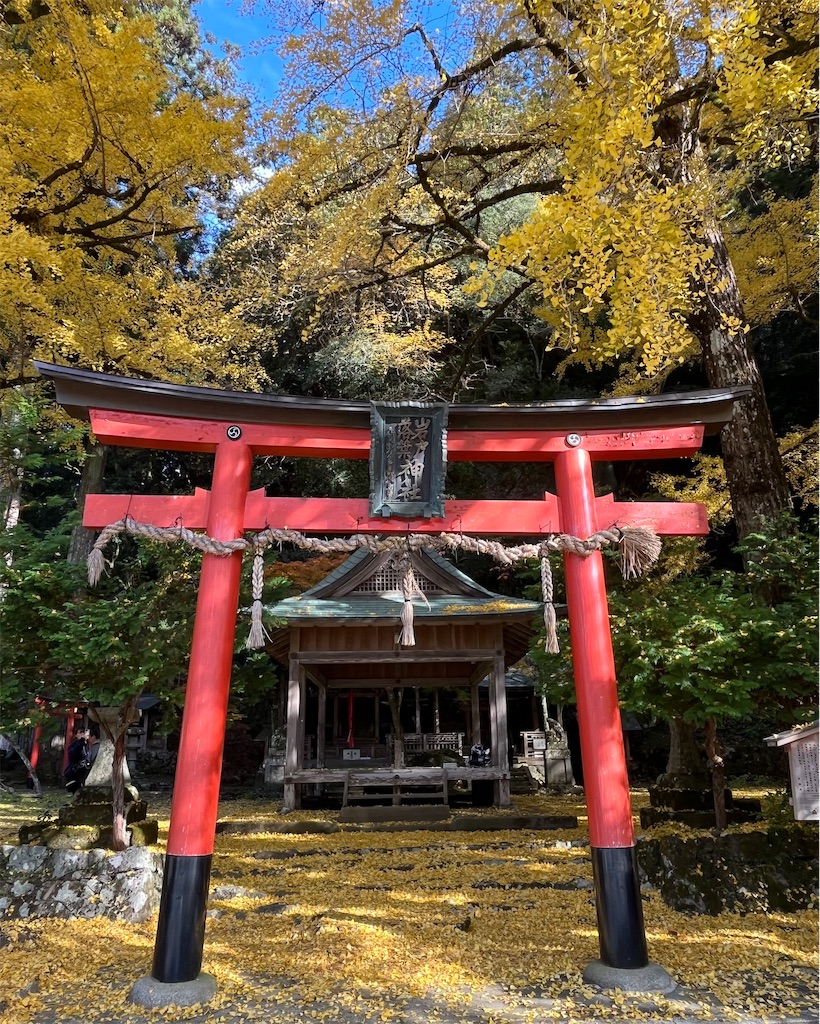 f:id:RYOTAS:20251128081250j:image
