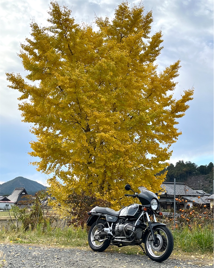 f:id:RYOTAS:20251128081257j:image