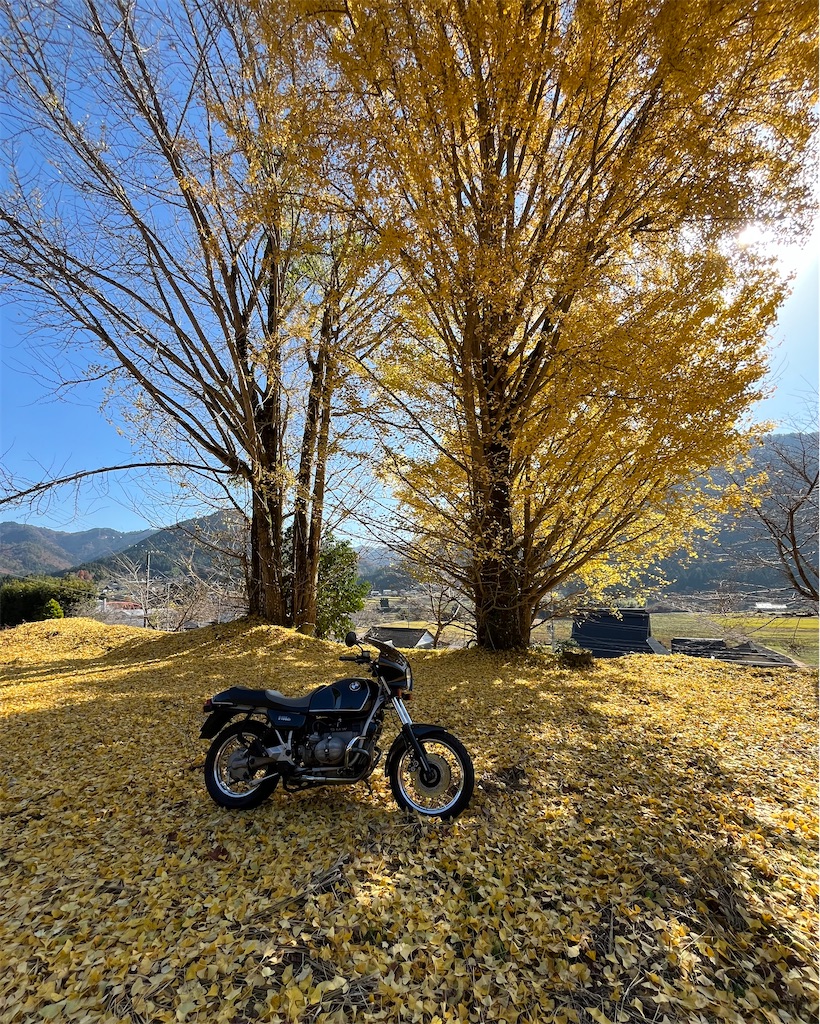 f:id:RYOTAS:20251130220757j:image