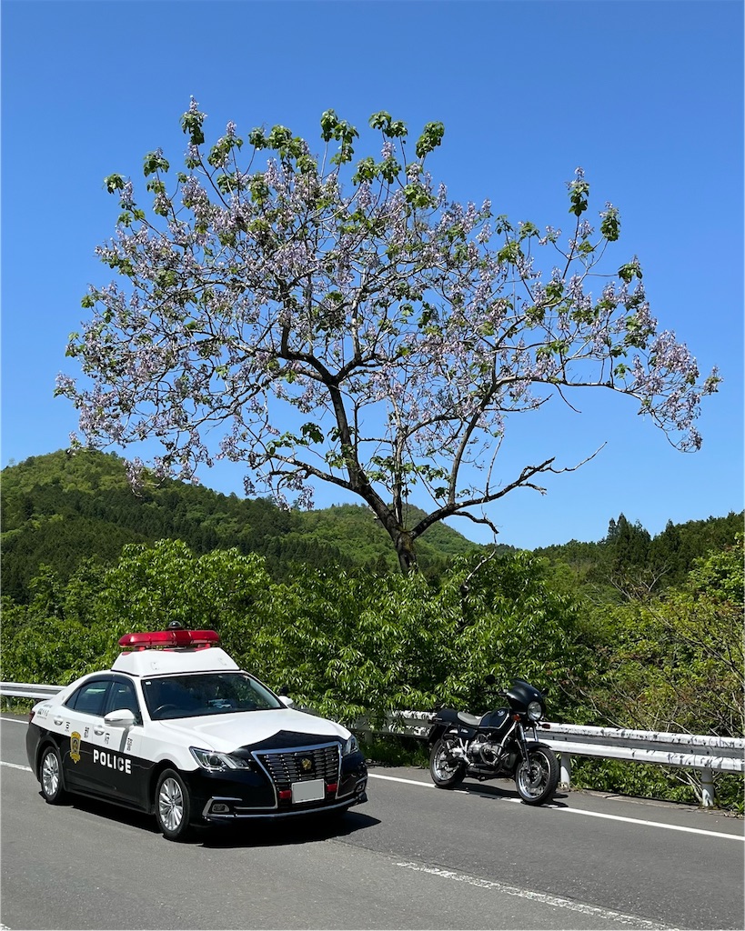 f:id:RYOTAS:20260510184101j:image