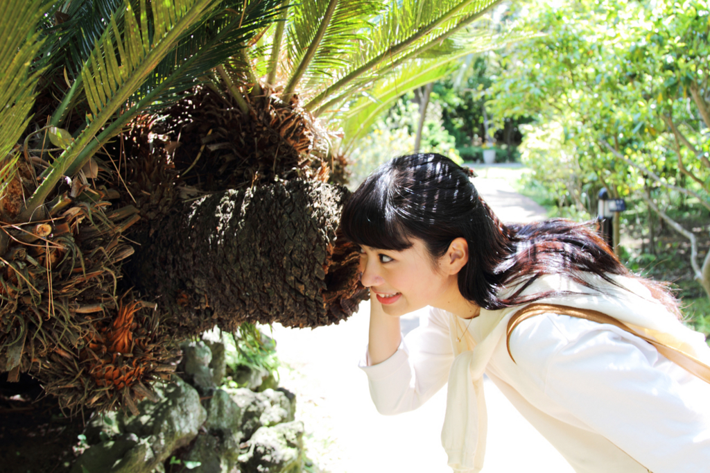 f:id:RYUSEI-CAMERA:20170115005610j:plain f:id:RYUSEI-CAMERA:20170115005610j:plain