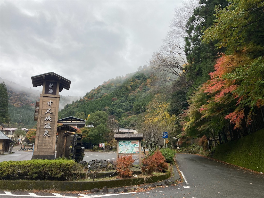 f:id:RYUSEIGUN:20241121174017j:image