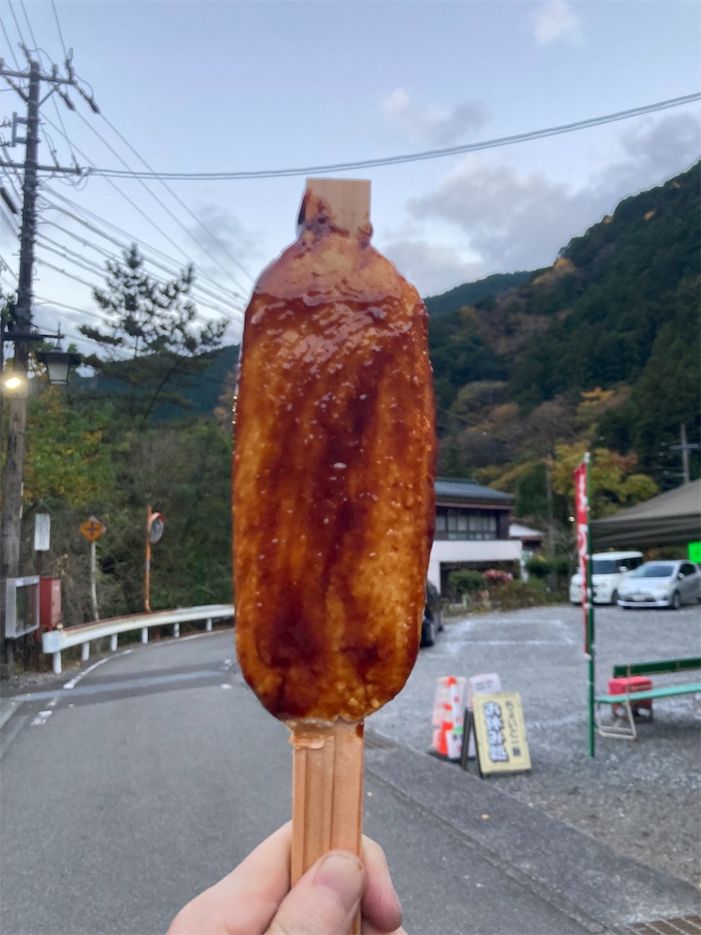 f:id:RYUSEIGUN:20241121174742j:image