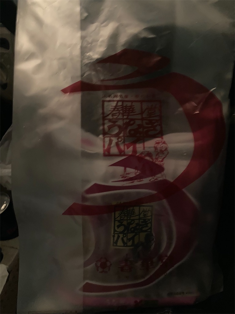 f:id:RYUSEIGUN:20241121175520j:image