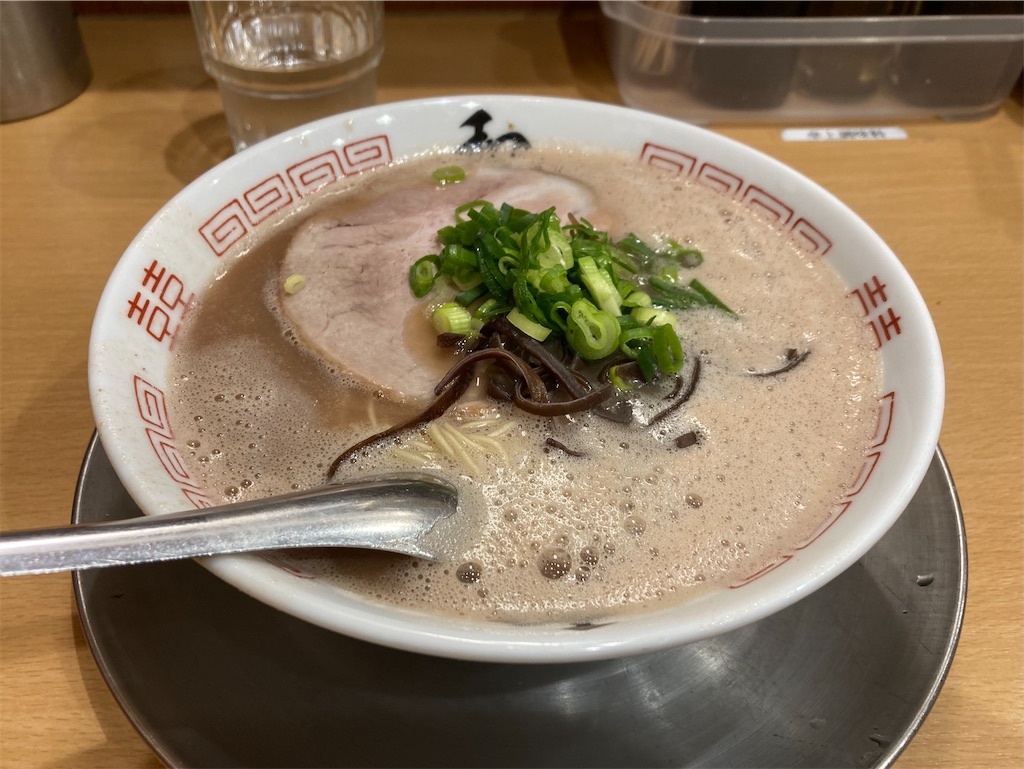 f:id:RYUSEIGUN:20250728154611j:image