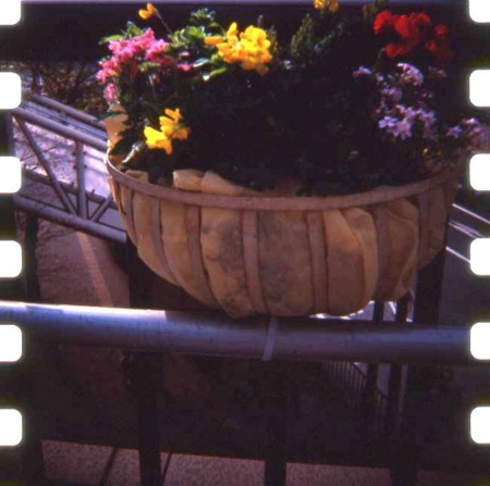 f:id:R_I:20100421015602j:image