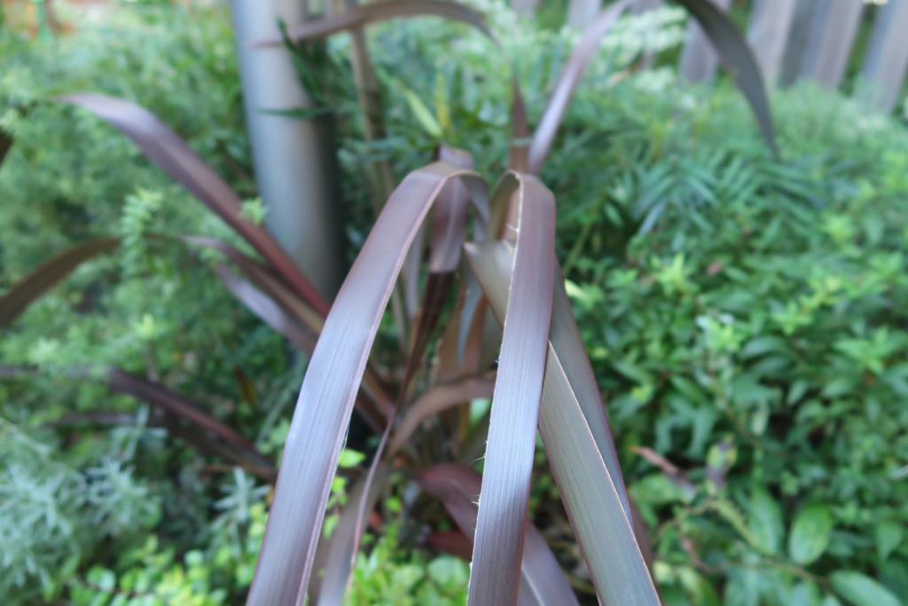 f:id:R_I:20171108204642j:plain