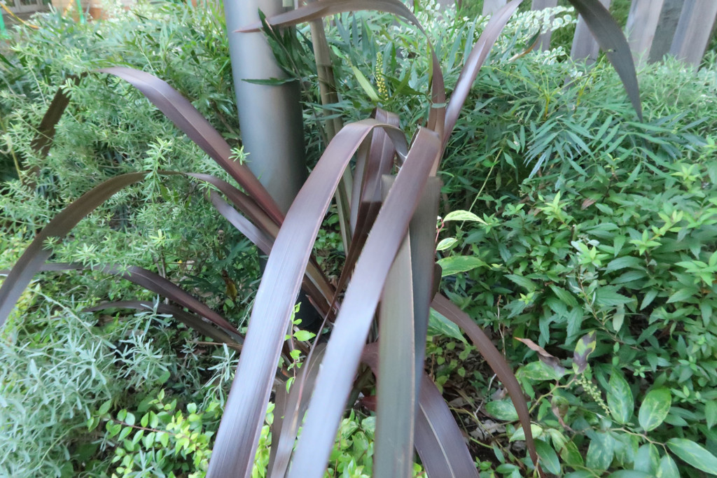 f:id:R_I:20171108204717j:plain