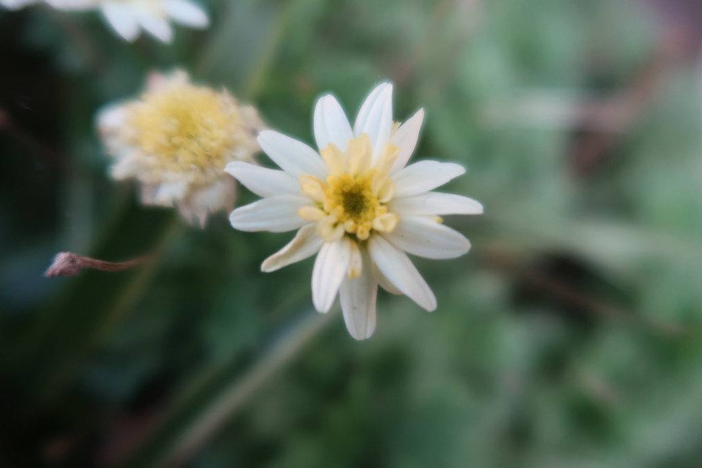 f:id:R_I:20171108210344j:plain