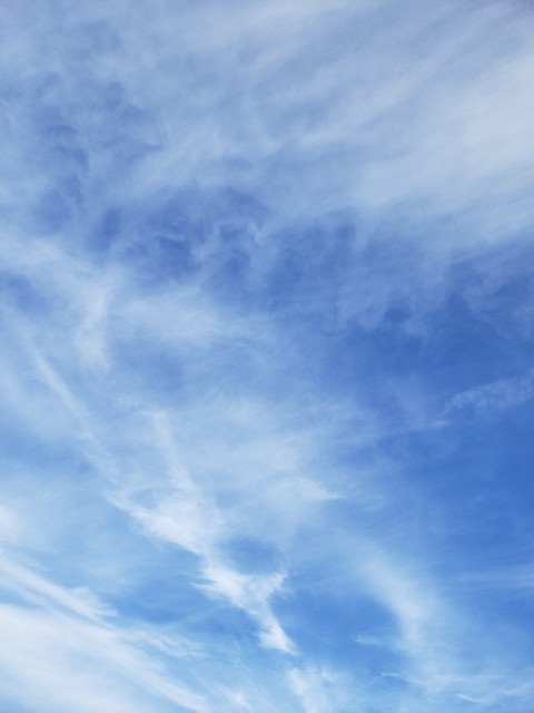 f:id:R_elle:20201026074414j:plain