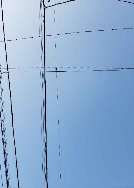 f:id:R_elle:20201102063951j:plain