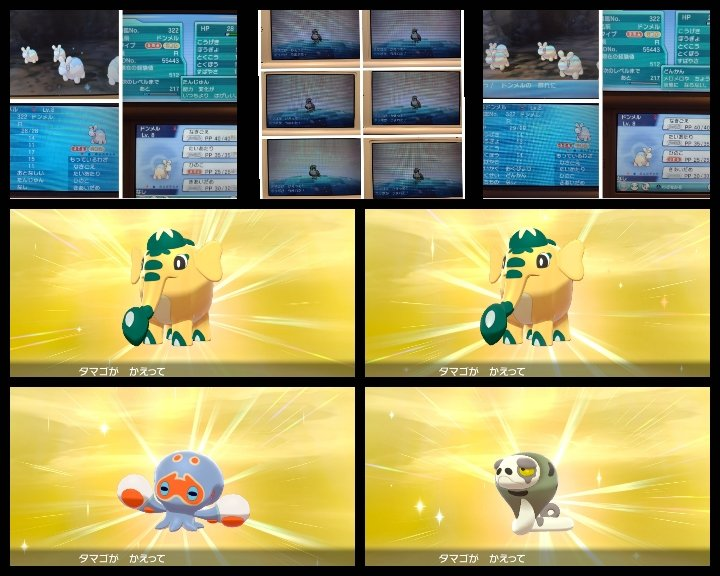 R色違いまとめ21 11 色違いポケモン日記
