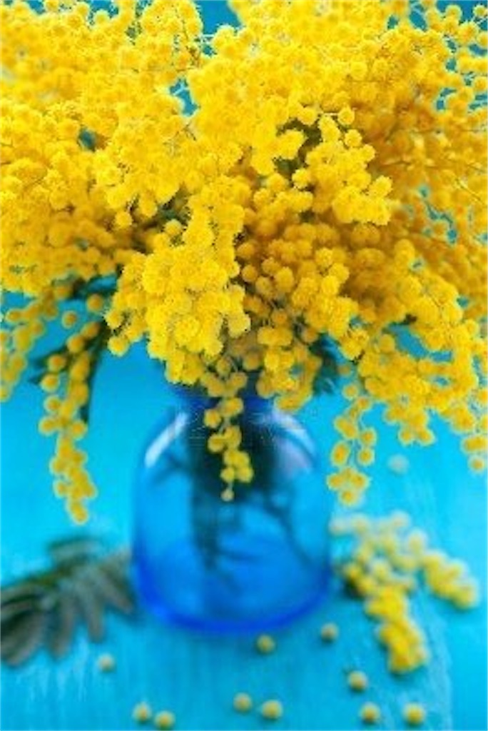 f:id:Raaay:20200202163909j:image