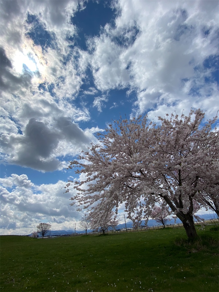 f:id:Raaay:20200501210315j:image