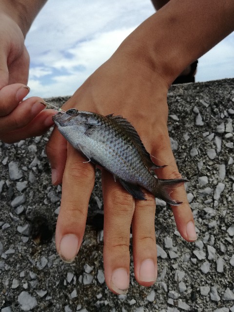 f:id:Rabin04:20200817114800j:image