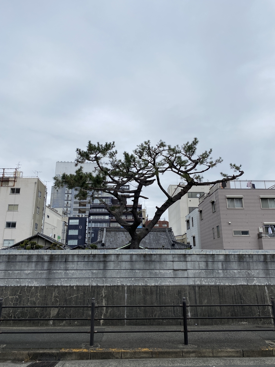 f:id:RadioControll:20210309231004j:plain