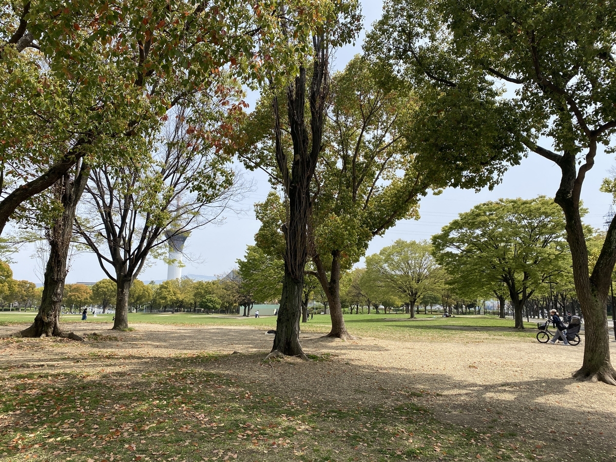 f:id:RadioControll:20210401224816j:plain