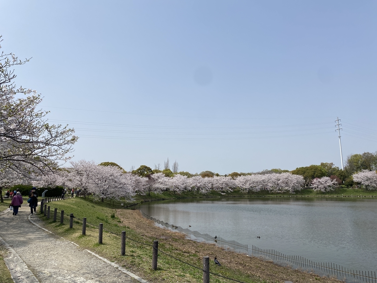 f:id:RadioControll:20210401225026j:plain