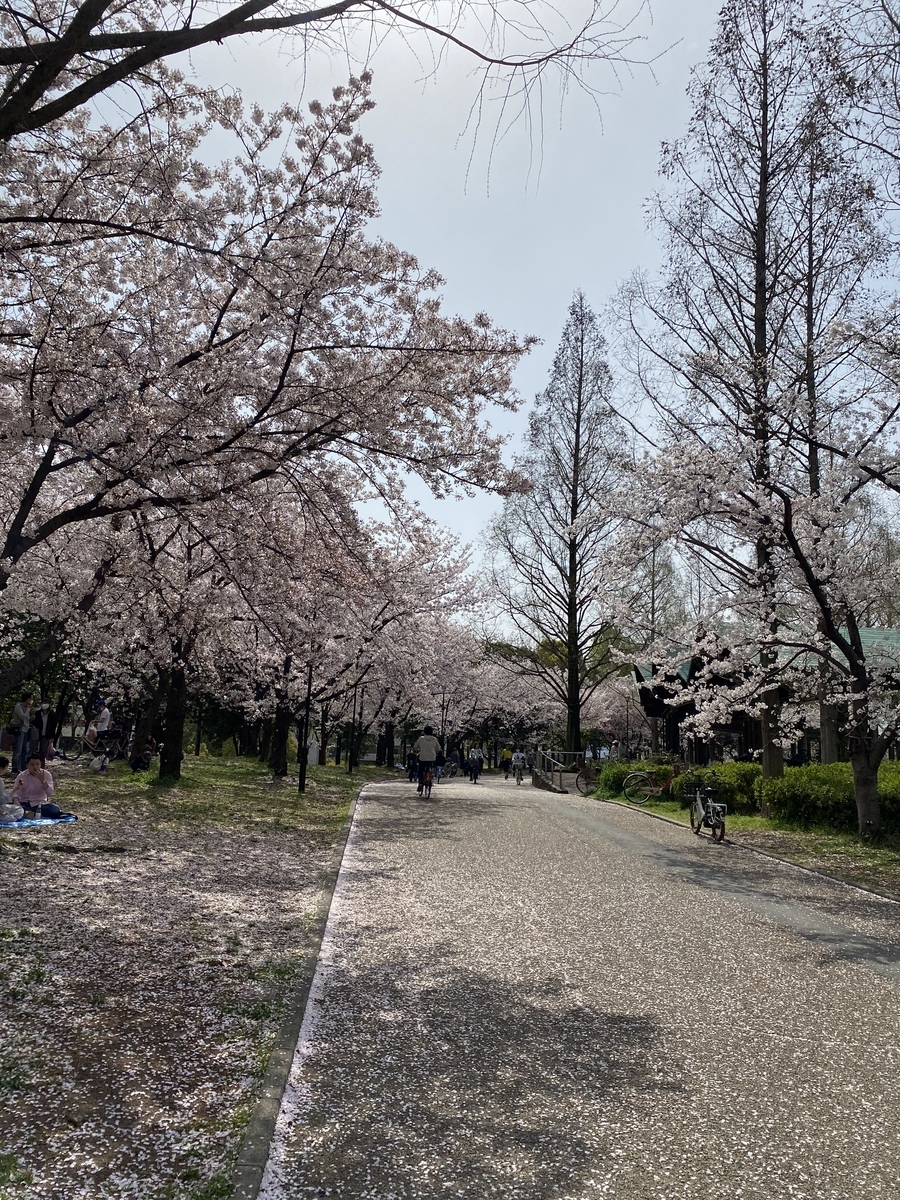 f:id:RadioControll:20210401225113j:plain