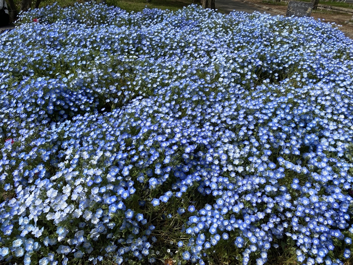 f:id:RadioControll:20210401225206j:plain