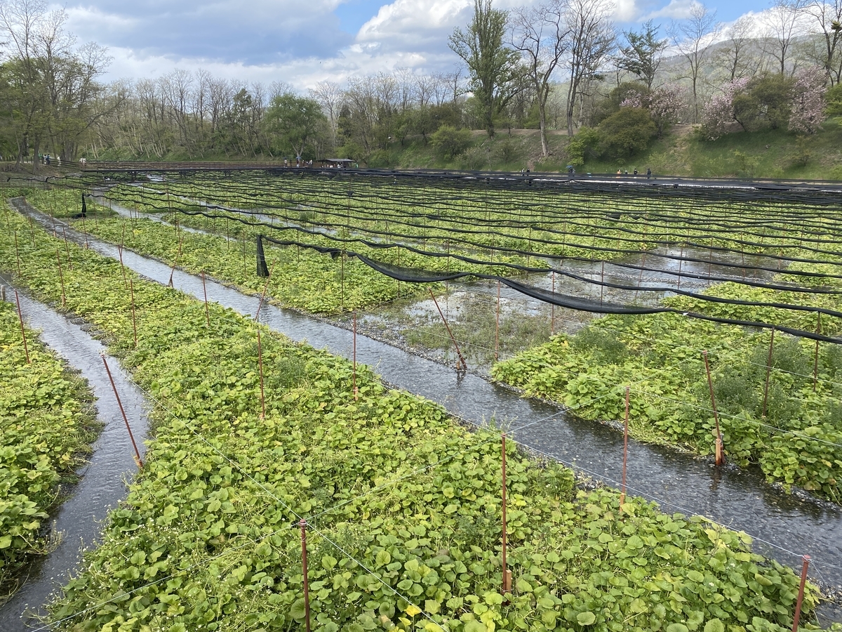 f:id:RadioControll:20210511000924j:plain