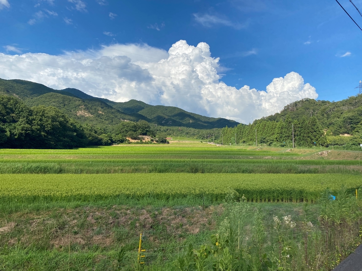 f:id:RadioControll:20210813145315j:plain