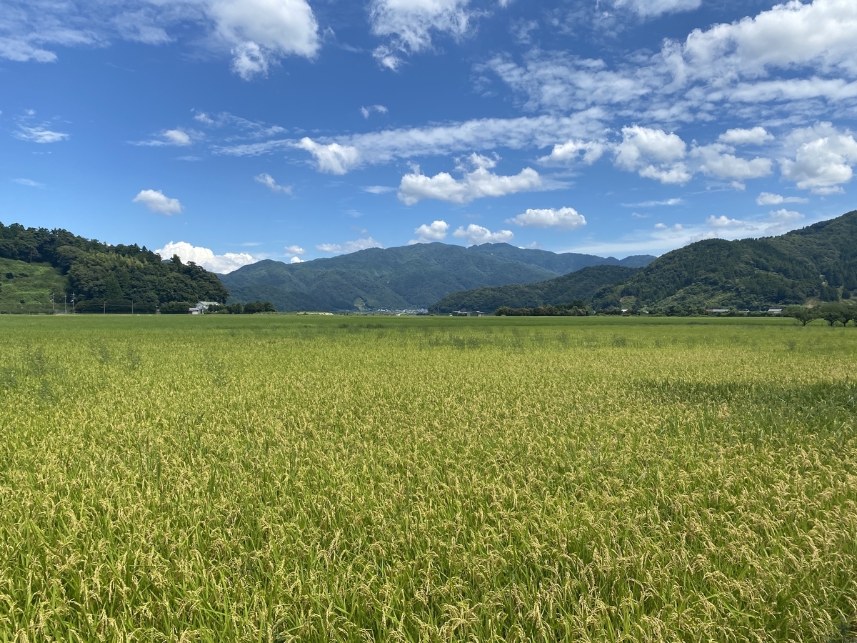 f:id:RadioControll:20210813150644j:plain