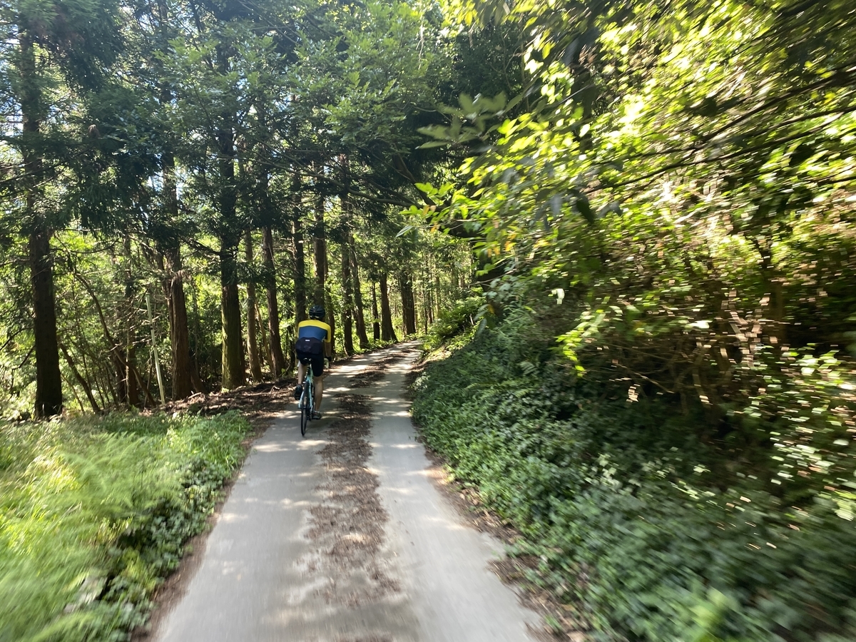 f:id:RadioControll:20210813161043j:plain