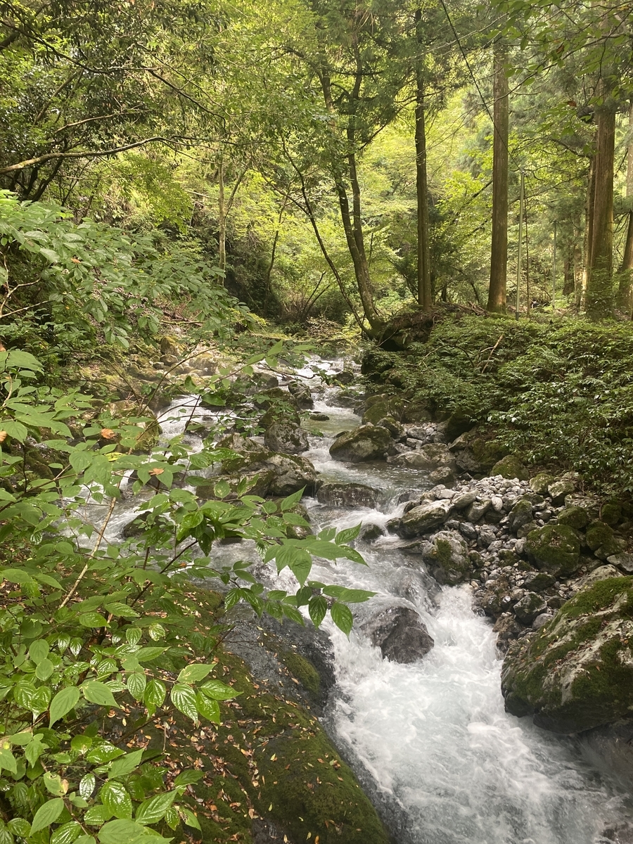 f:id:RadioControll:20210918170129j:plain