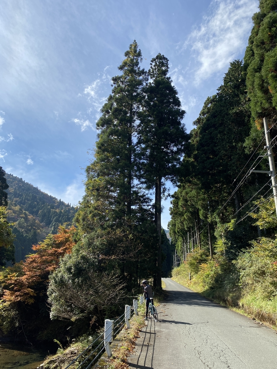 f:id:RadioControll:20211109220515j:plain