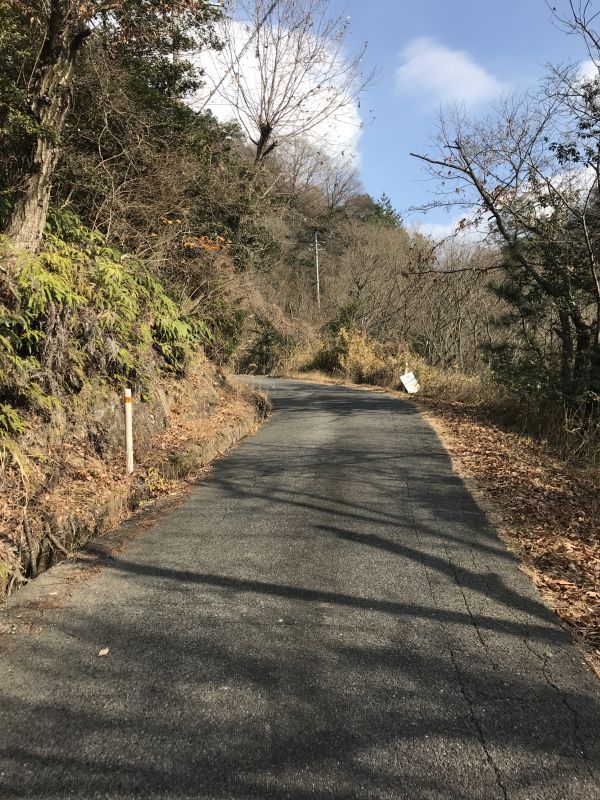 f:id:Ragazzi:20190105131340j:image