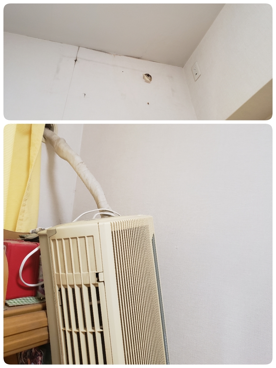 f:id:RaichuuKASUMI:20200525100635j:plain