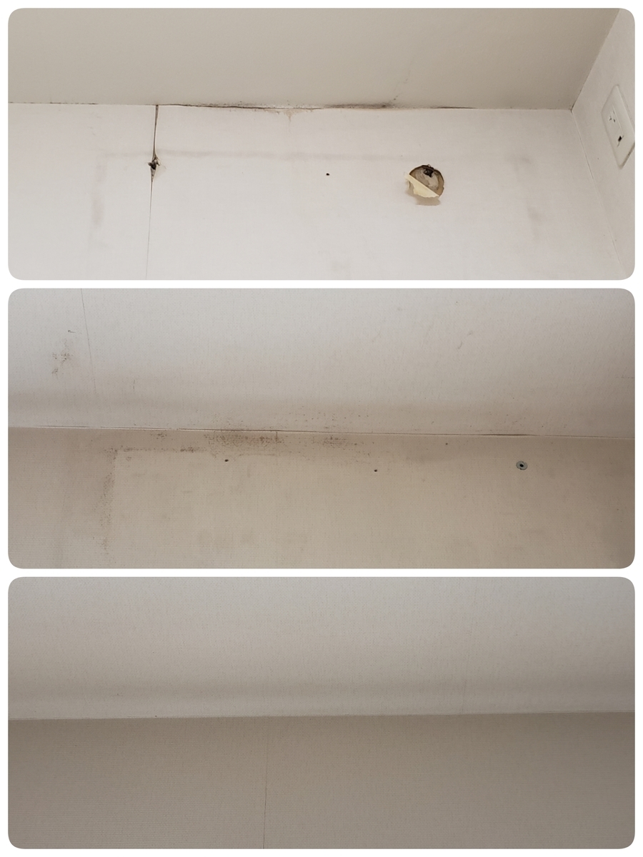 f:id:RaichuuKASUMI:20200525100723j:plain