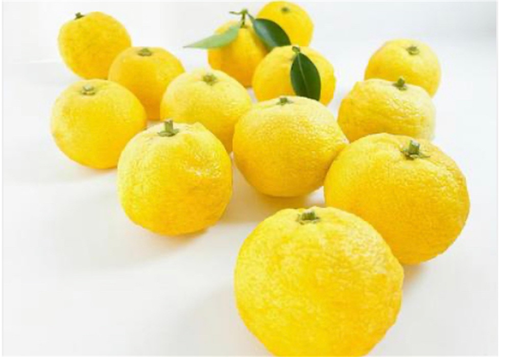 f:id:RainbowDrops:20221223154037j:image f:id:RainbowDrops:20221223154037j:image
