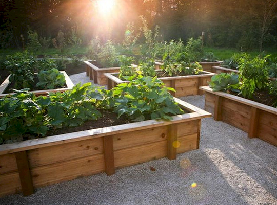 f:id:Raisedgardenbeds:20180529103601p:plain f:id:Raisedgardenbeds:20180529103601p:plain