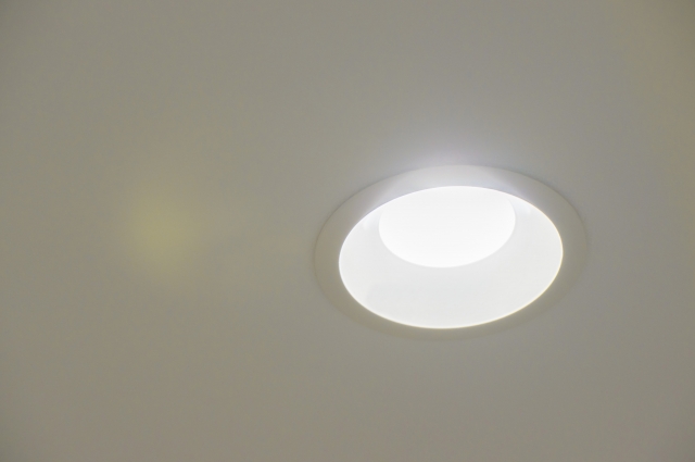 f:id:RakuIkuPaPa:20190824215107j:plain f:id:RakuIkuPaPa:20190824215107j:plain