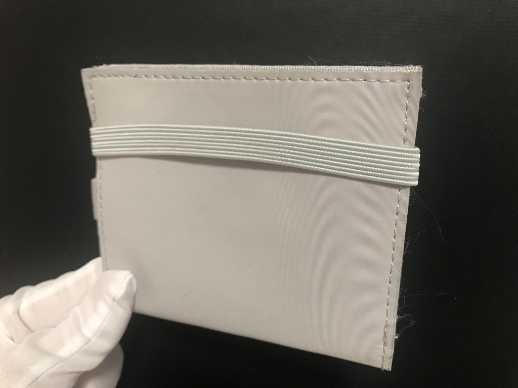 f:id:Rakuski:20190119124015j:plain