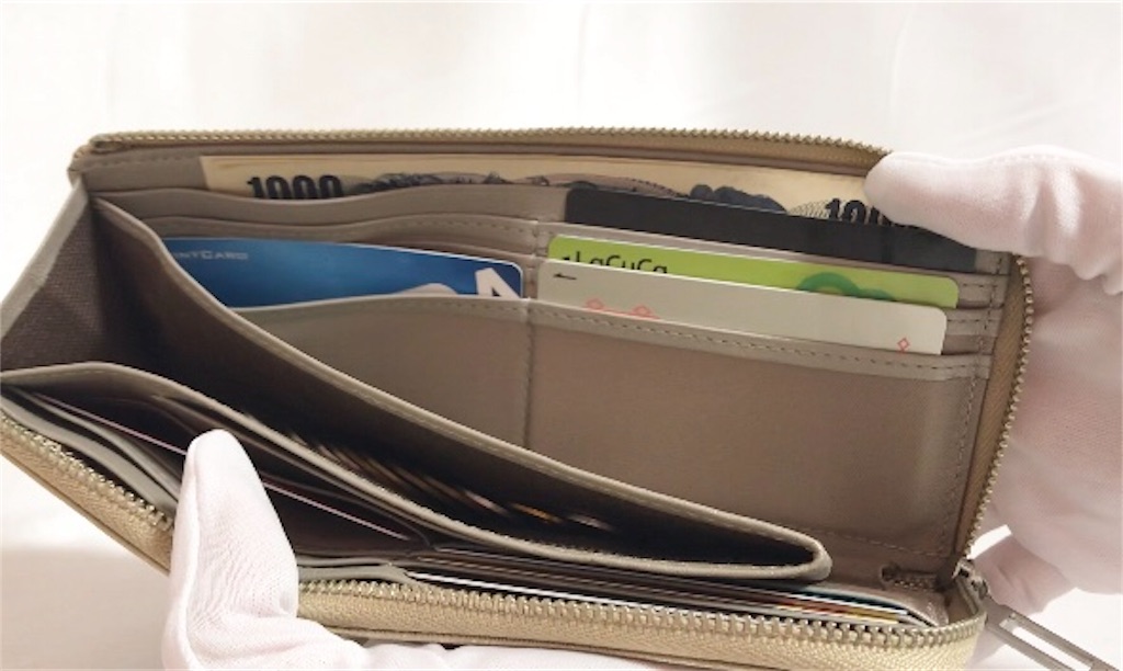 f:id:Rakuski:20190213025320j:image