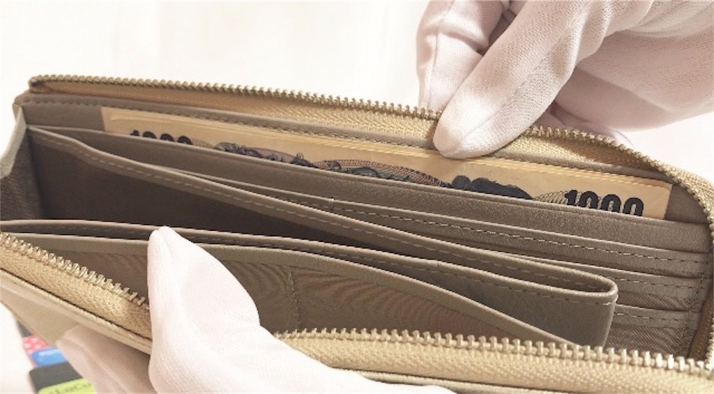 f:id:Rakuski:20190213025323j:image