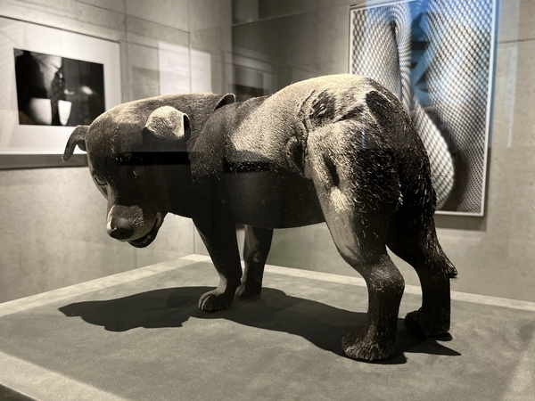 森山大道 展』GR SPACE TOKYOオープン記念企画展（2024・東京 原宿
