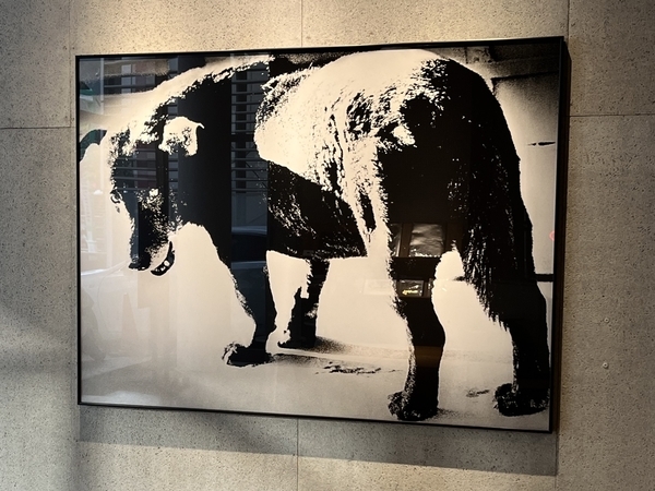 森山大道 展』GR SPACE TOKYOオープン記念企画展（2024・東京 原宿