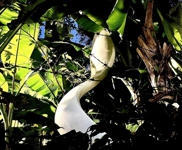 岡本太郎記念館 原宿・表参道の庭の白いオブジェ作品