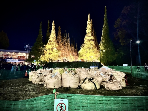 明治神宮外苑 いちょう並木